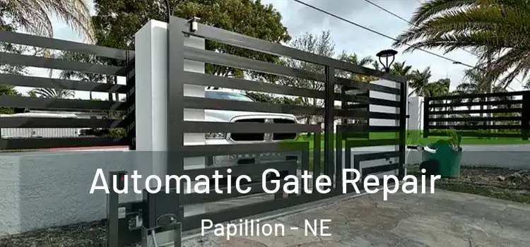  Automatic Gate Repair Papillion - NE