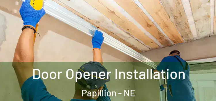  Door Opener Installation Papillion - NE