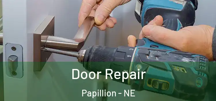  Door Repair Papillion - NE