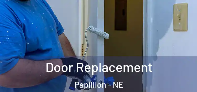  Door Replacement Papillion - NE