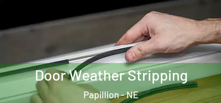  Door Weather Stripping Papillion - NE