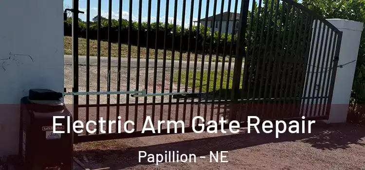  Electric Arm Gate Repair Papillion - NE