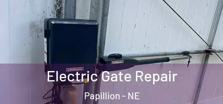  Electric Gate Repair Papillion - NE