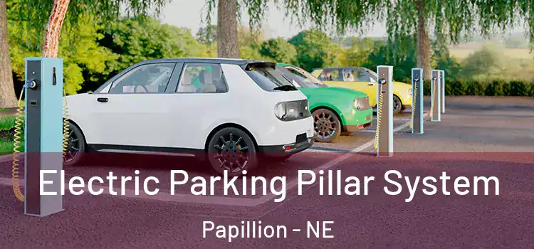  Electric Parking Pillar System Papillion - NE