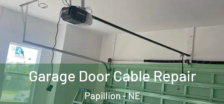  Garage Door Cable Repair Papillion - NE