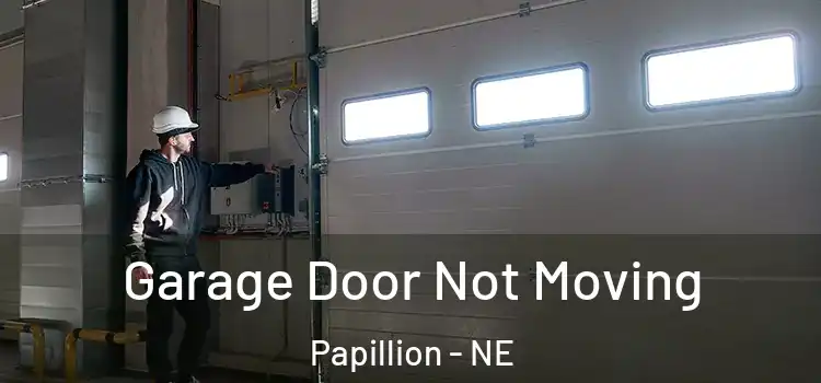  Garage Door Not Moving Papillion - NE