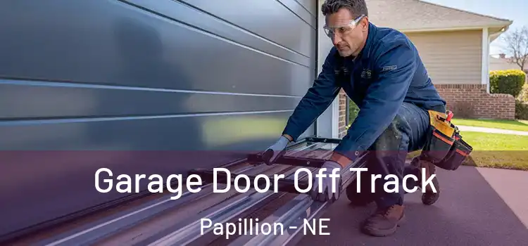  Garage Door Off Track Papillion - NE