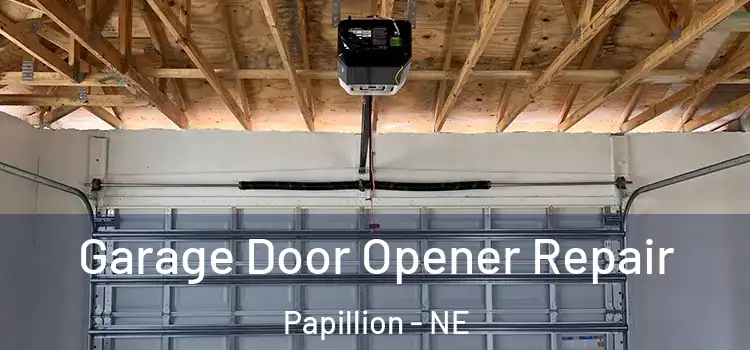  Garage Door Opener Repair Papillion - NE