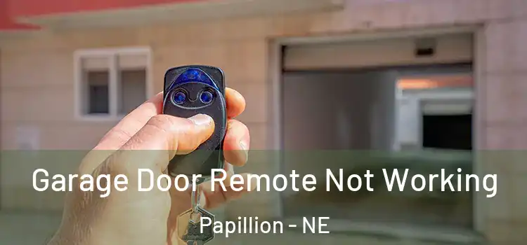  Garage Door Remote Not Working Papillion - NE