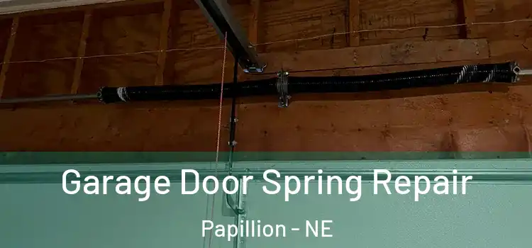  Garage Door Spring Repair Papillion - NE