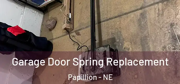  Garage Door Spring Replacement Papillion - NE