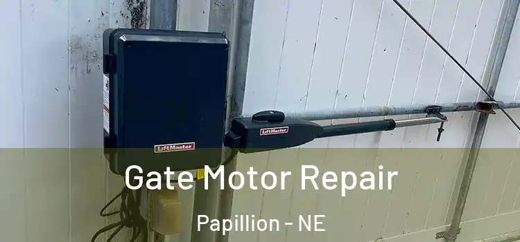  Gate Motor Repair Papillion - NE