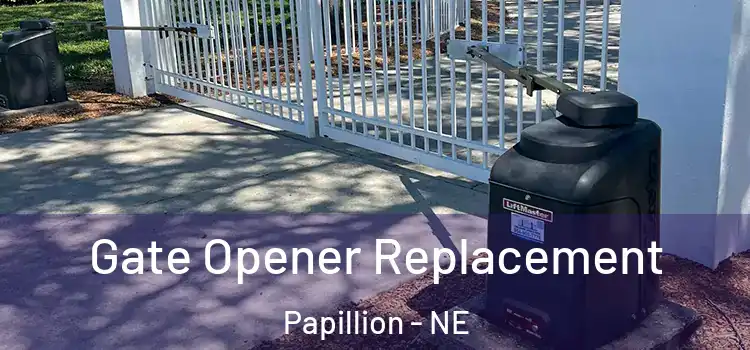  Gate Opener Replacement Papillion - NE