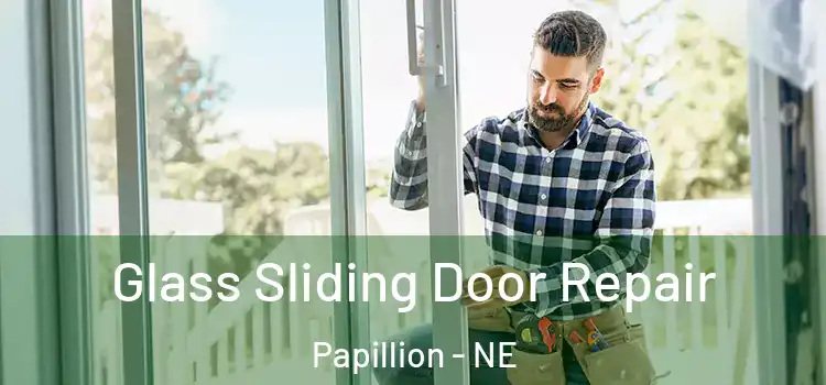  Glass Sliding Door Repair Papillion - NE