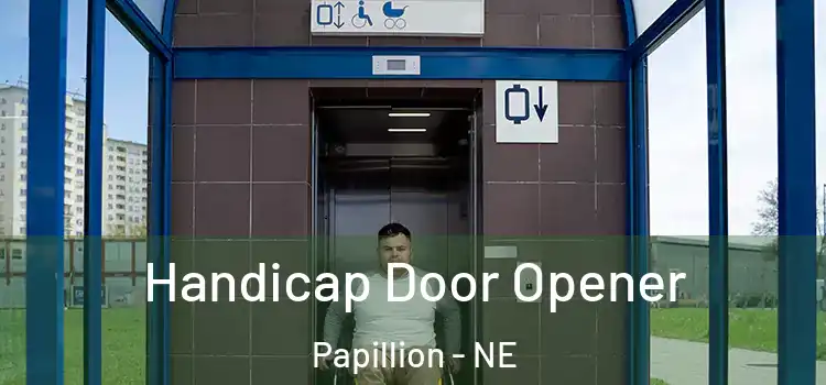  Handicap Door Opener Papillion - NE