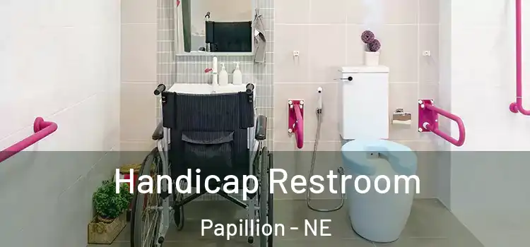  Handicap Restroom Papillion - NE