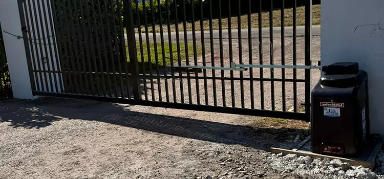 Solar Swing Gate Opener Papillion