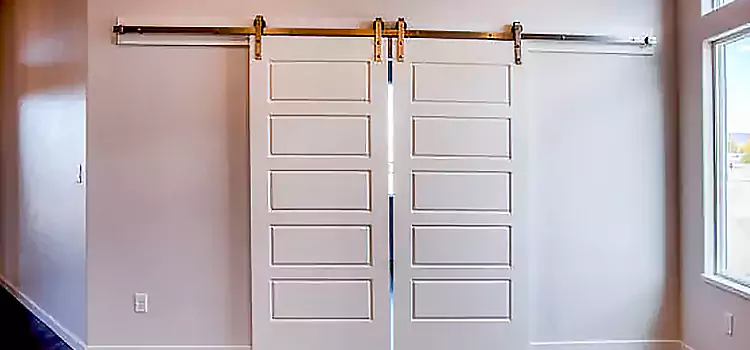 Glass Barn Door with Installation Hardware Kit Papillion