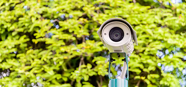 Advanced Surveillance Solutions for Every Need in Papillion