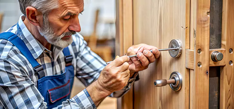 Mortise Replacement Lock Papillion