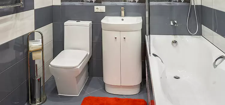 Hansgrohe Shaving Mirror Papillion
