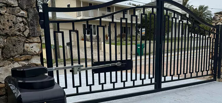 Swing Gate Opener with Keypad Papillion