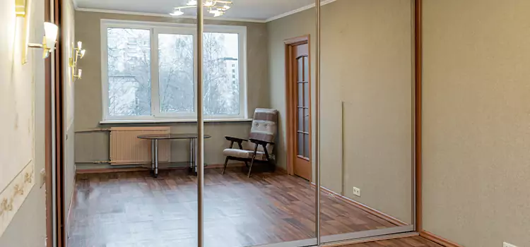 Mirror Closet Door Roller Replacement Papillion