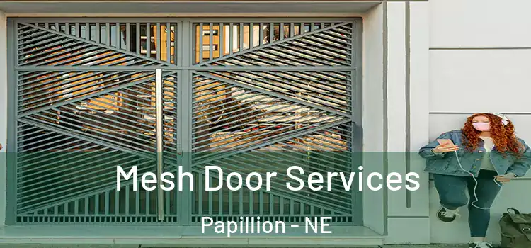  Mesh Door Services Papillion - NE