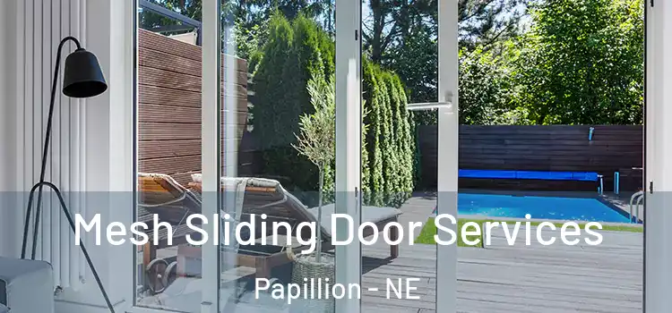  Mesh Sliding Door Services Papillion - NE