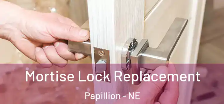  Mortise Lock Replacement Papillion - NE