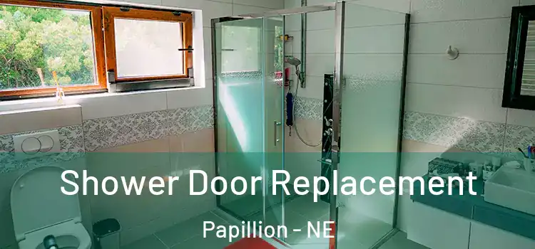  Shower Door Replacement Papillion - NE