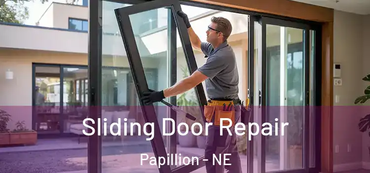  Sliding Door Repair Papillion - NE