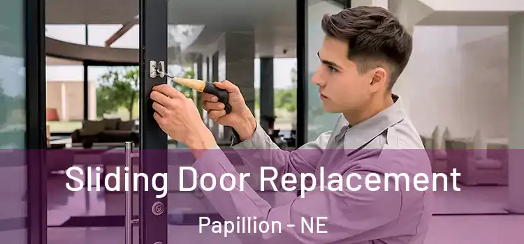  Sliding Door Replacement Papillion - NE