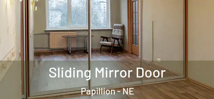  Sliding Mirror Door Papillion - NE