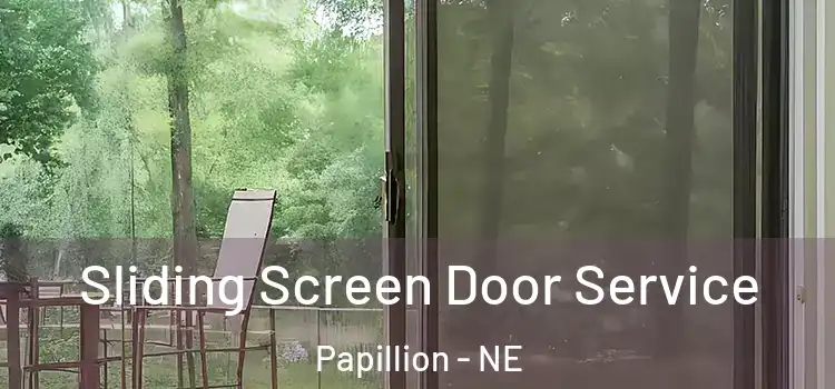  Sliding Screen Door Service Papillion - NE